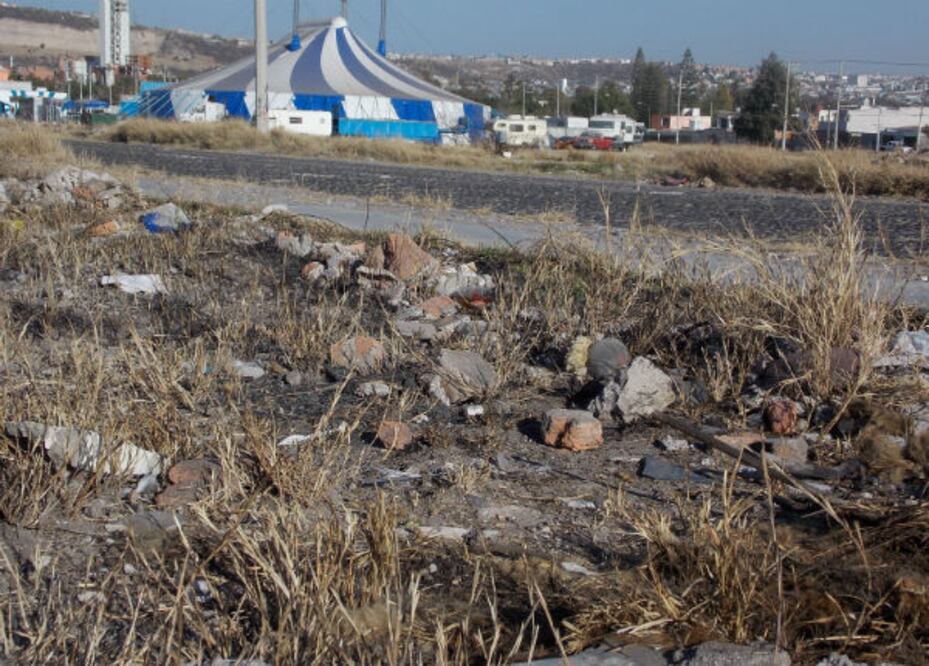 Sin rastro de supuesto león muerto