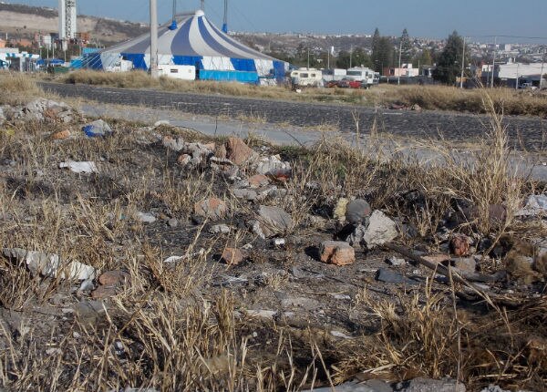 Sin rastro de supuesto león muerto
