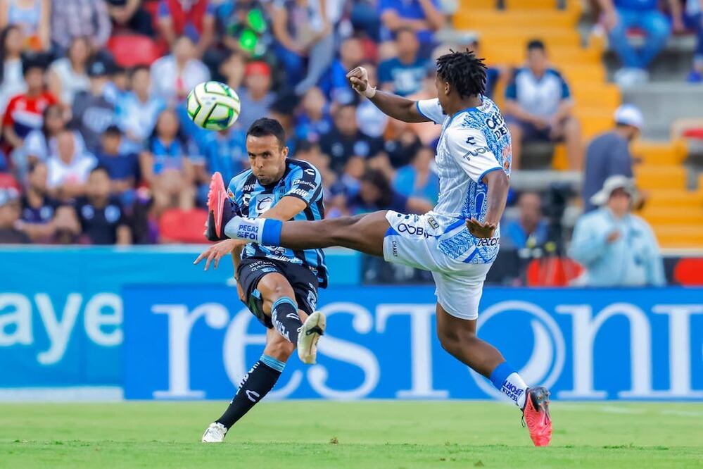 Foto: Cortesía Gallos Blancos