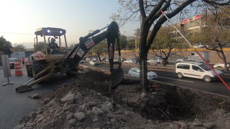 Plantarán 200 árboles en Bernardo Quintana