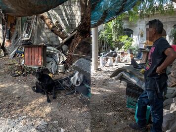 Multan con 7 mil pesos a dueño de un perrito por maltrato en El Marqués