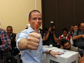 Renovarán al dirigente nacional del PAN