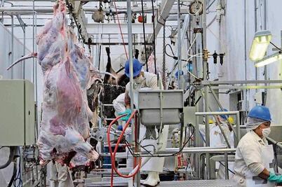 Recorte en Sedea podría afectar obra en rastro