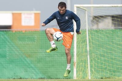 Gallos de cara a la Liguilla  