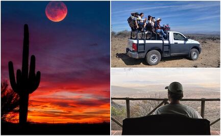 Vida salvaje y safari en estas cabañas a menos de una hora de la capital de Querétaro