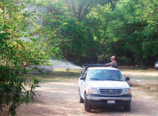 Toman acciones preventivas contra dengue