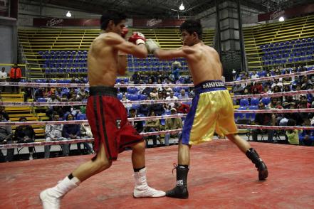En busca del nocaut, la disciplina y el sueño del box