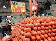 Aumenta hasta 103% el precio del jitomate en Querétaro