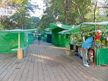 La Alameda Hidalgo, en riesgo de incendio