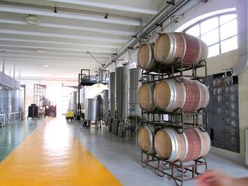 Destacan éxito de la Ruta del queso y vino 