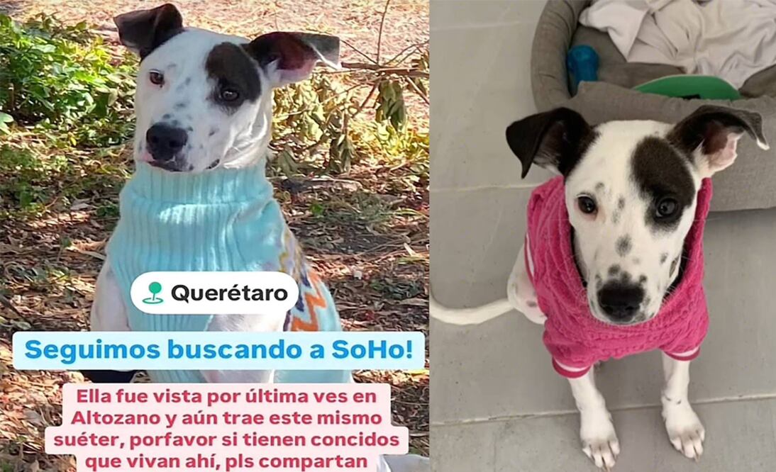 Foto: Captura de pantalla