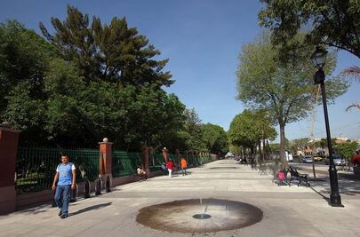 Francisco Domínguez: "El caso Alameda podría llegar a la Corte"