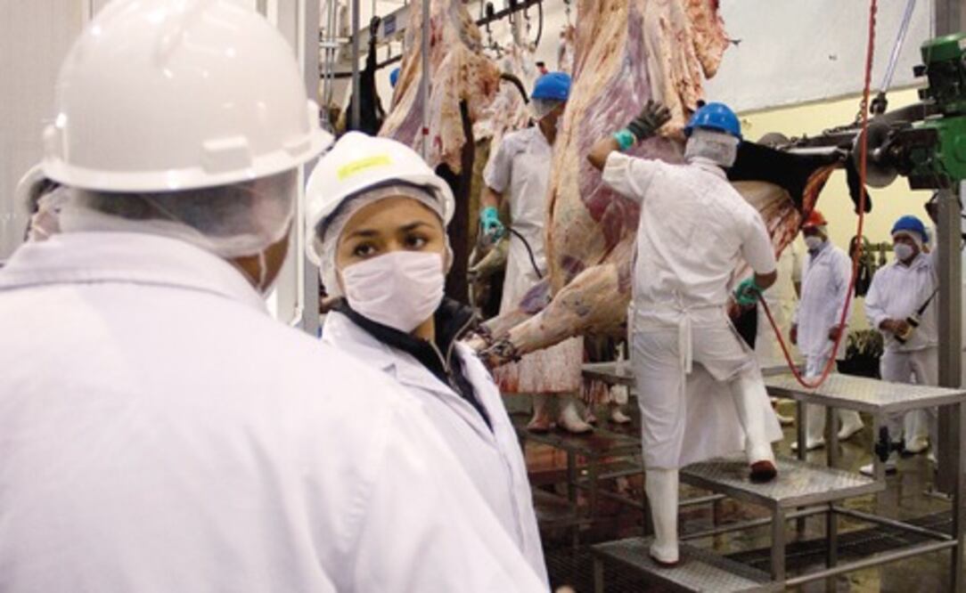 Proponen regular carne de cerdo