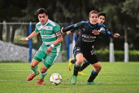 Gallitos no libran las semifinales