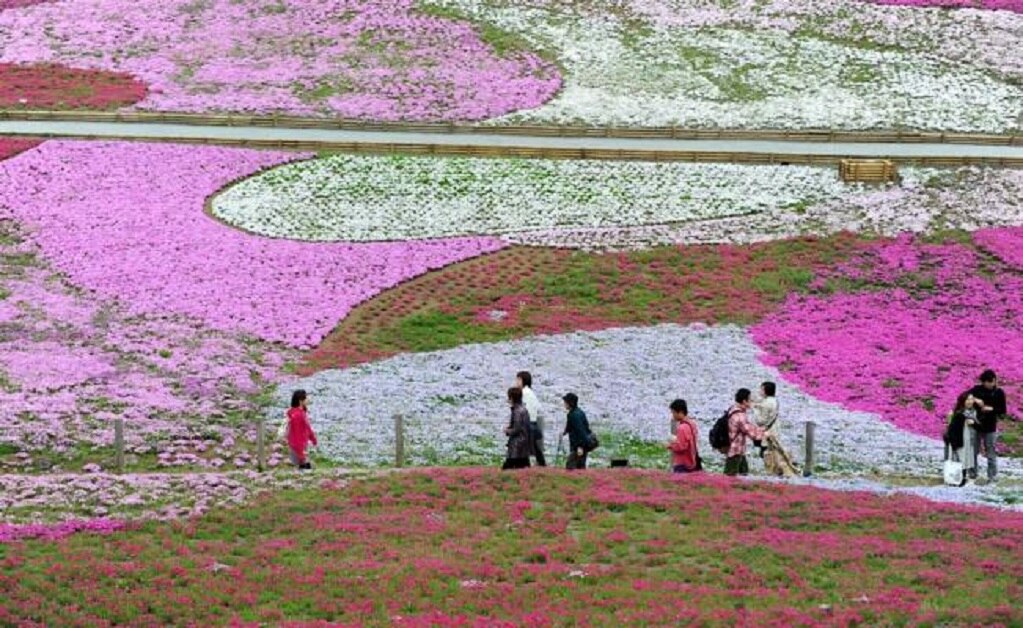 El negocio de alquilar amigos o novios en Japón