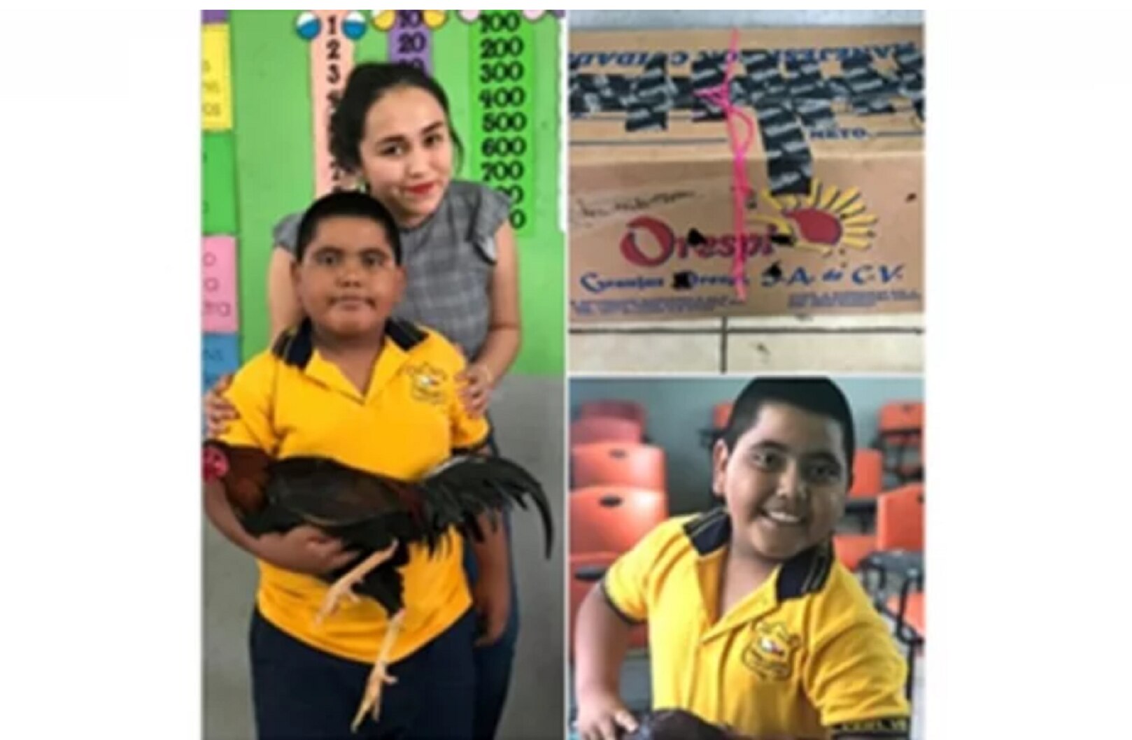 "¡Maestra, le traje una sorpresa!"