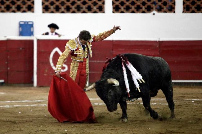 Festín de faenas y poca luz en la Santa María