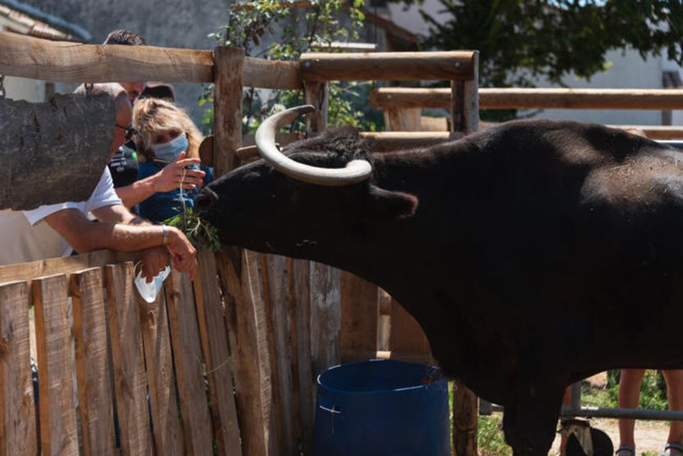 Foto: Perla Sánchez