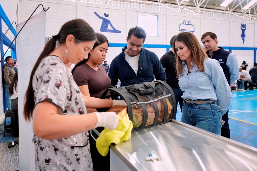 Fomentan el cuidado de animales de compañía