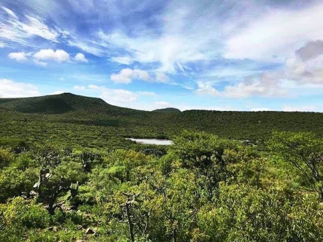 Querétaro está más cerca de tener un pulmón verde para la zona metropolitana