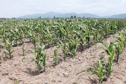 Entregan obras al campo