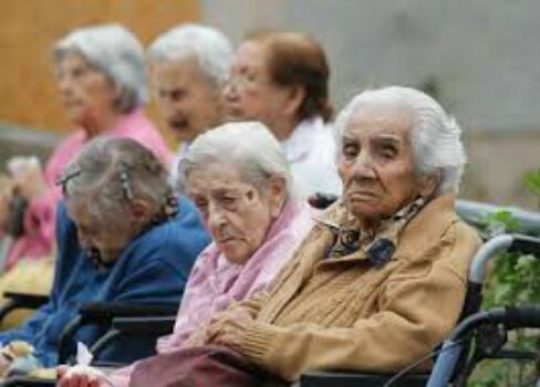 Parten adultos mayores a campamento