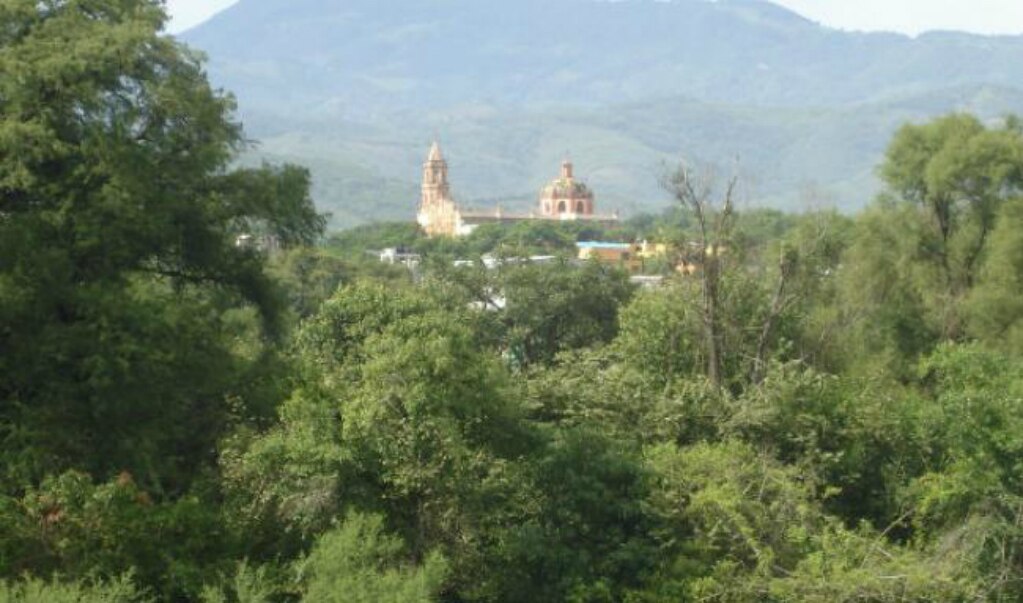 Foto: Archivo El Universal