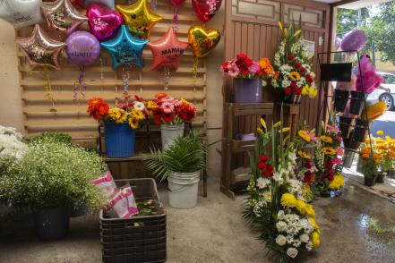 Jesús González, el joven que llegó a Querétaro a aprender y trabajar con las flores