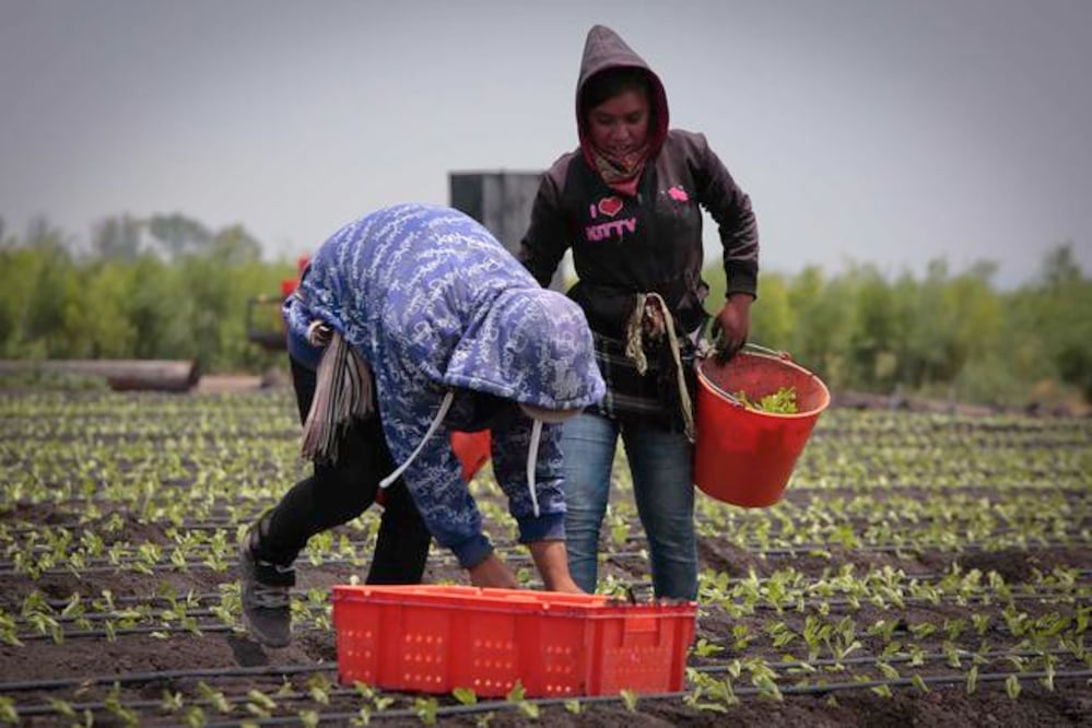 Foto: Archivo. El Universal