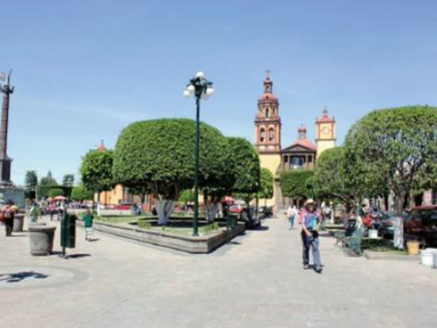 Aparece manta en SJR 