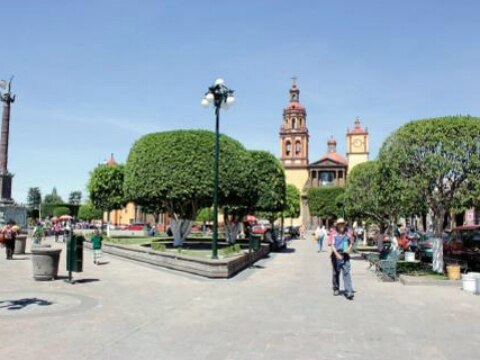 Aparece manta en SJR