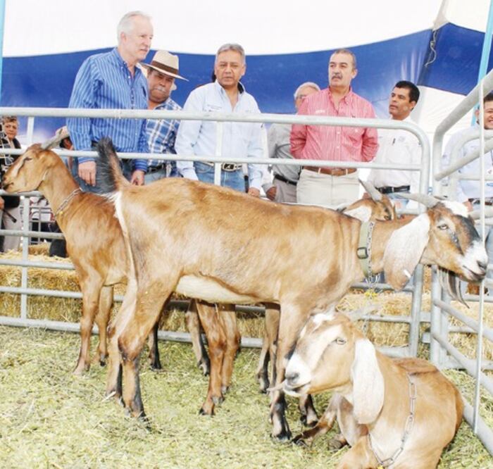 El Marqués destinará 11 mdp al campo para sistema de  riego