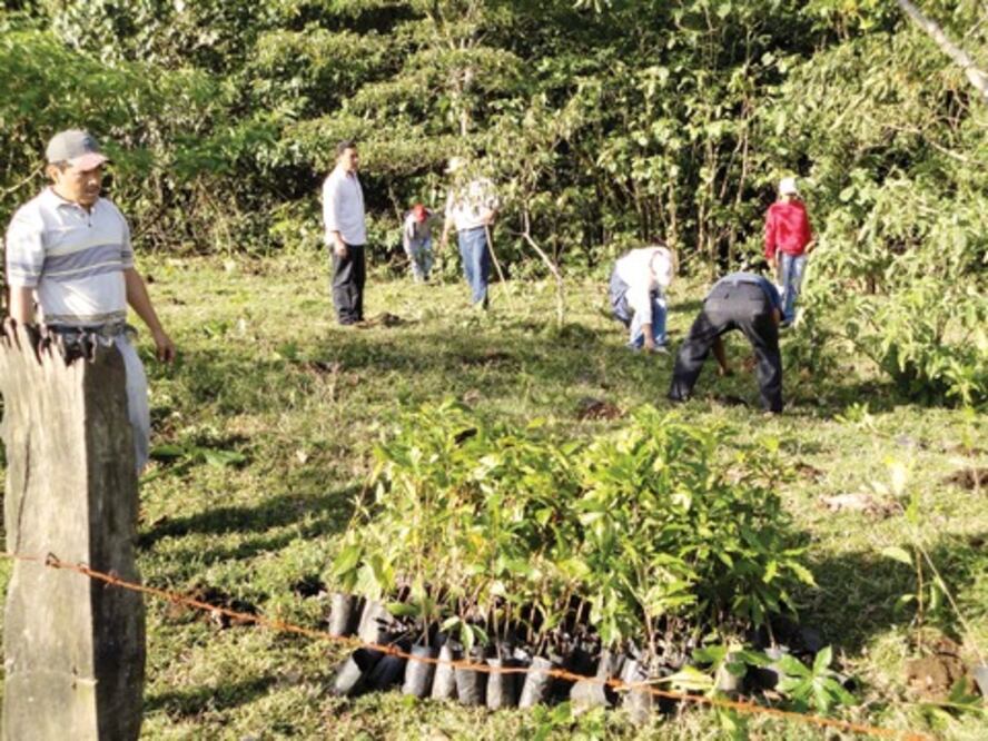 Estrecha lazos municipio con Conafor