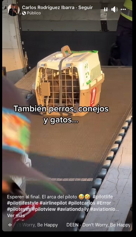 Foto: Captura de pantalla. Carlos Rodríguez Ibarra