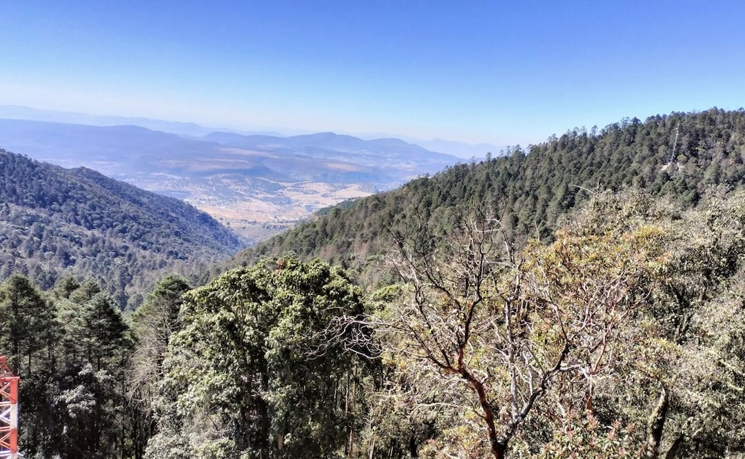 Pinal del Zamorano. Foto: FB, Marianita Bonita