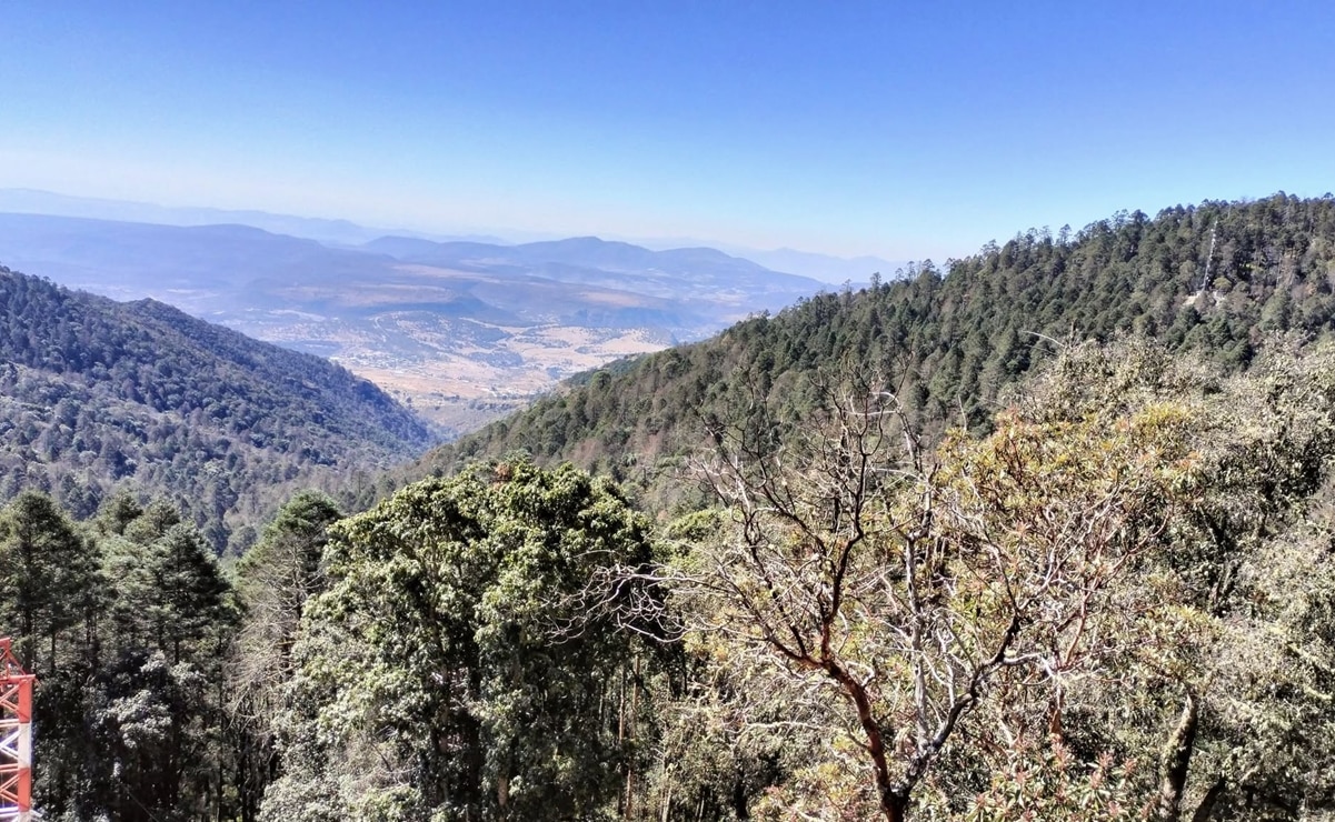 Pinal del Zamorano. Foto: FB, Marianita Bonita