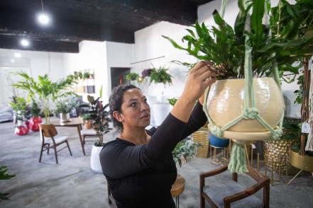 Emprenden en Querétaro proyecto de paisajismo y decoración de espacios con plantas