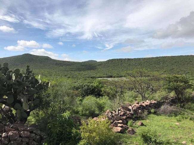 Descartan cambio de uso de suelo en Peña Colorada