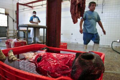  Prepara Sedea licitación para rastro en Jalpan  