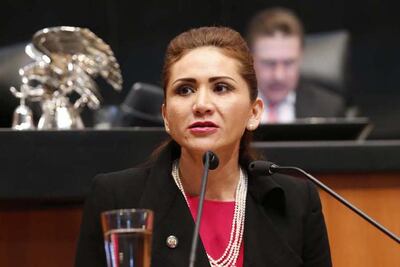 “En riesgo salud de 57 millones de pacientes”: Sonia Rocha