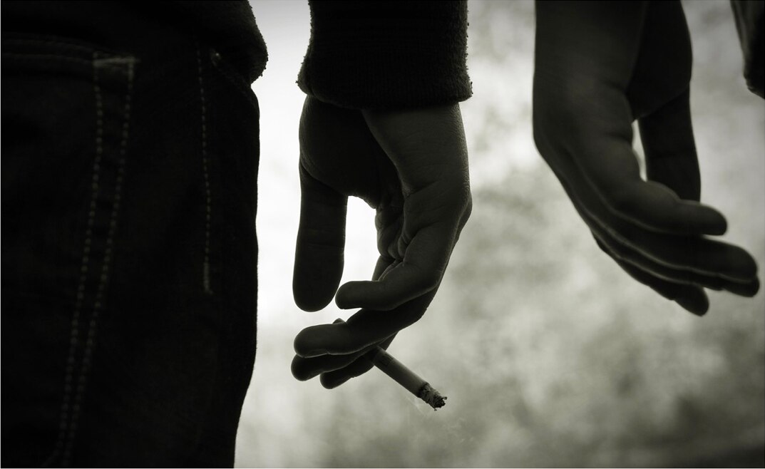 La tasa de víctimas de delitos en el país se redujo 12.1% en 2019