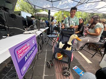 Afiliaron​ a 350 mascotas de compañía al programa​ PetFriendly del sistema Qrobus