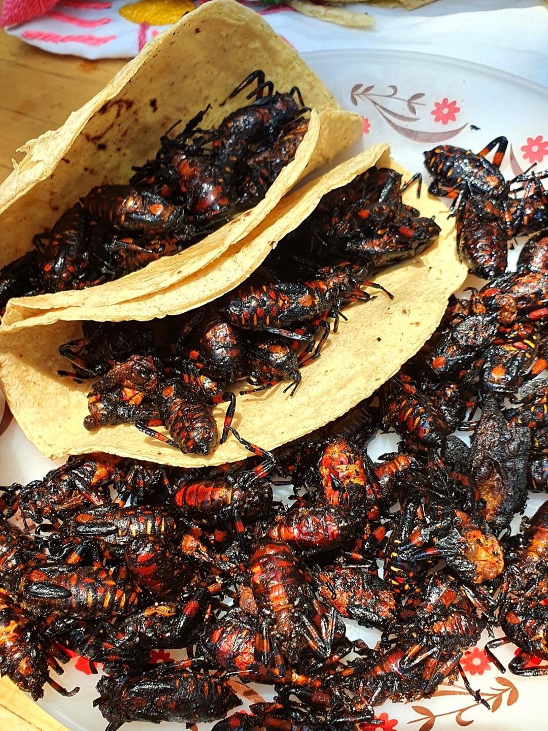 Foto: Pinshi Millennial.