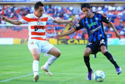 Gallos visita selva