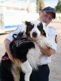 Zorro se jubila; el lomito dedicó 8 años al rescate de personas en México