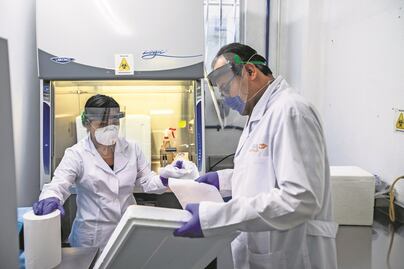 Ómicron ocasiona más de 100 contagios de Covid-19 al día, en Querétaro