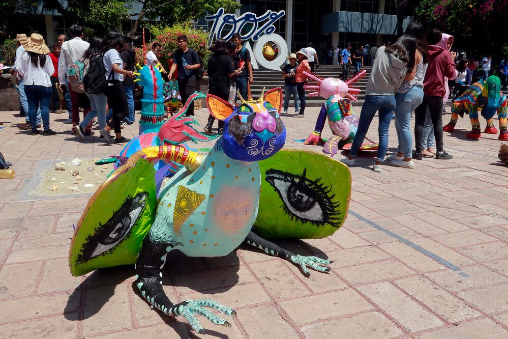 En cada trabajo se invirtieron decenas de horas de trabajo para cumplir con las especificaciones que exigieron los jueces en el certamen (CÉSAR GÓMEZ. EL UNIVERSAL)