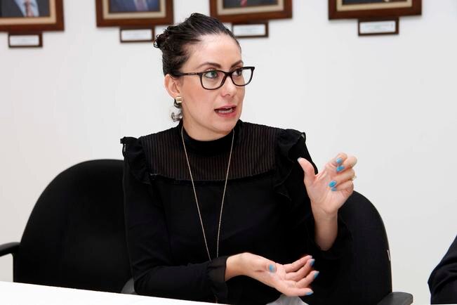 El Colegio de Ingenieros busca  eliminar tráfico