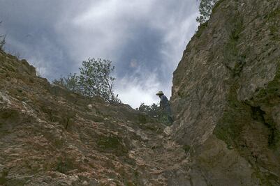 Alertan disminución del precio del mercurio