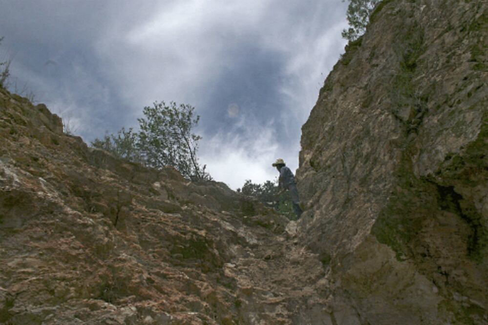 Alertan disminución del precio del mercurio